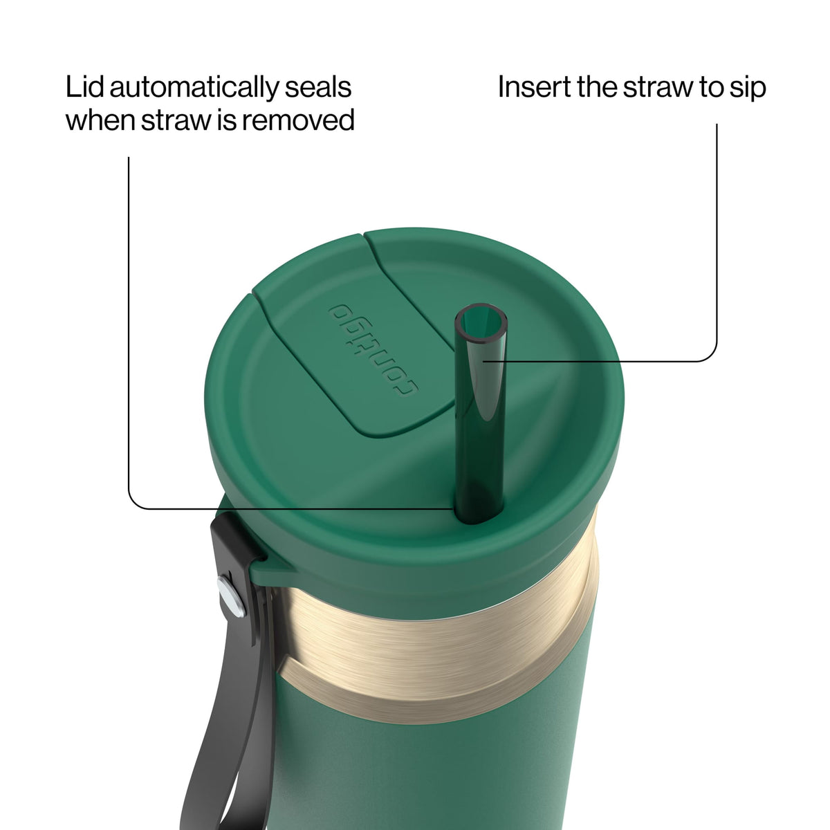 Contigo 24oz SnapSeal Insulated Stainless Steel Water Bottle with Straw, Licorice Black/Bronze
