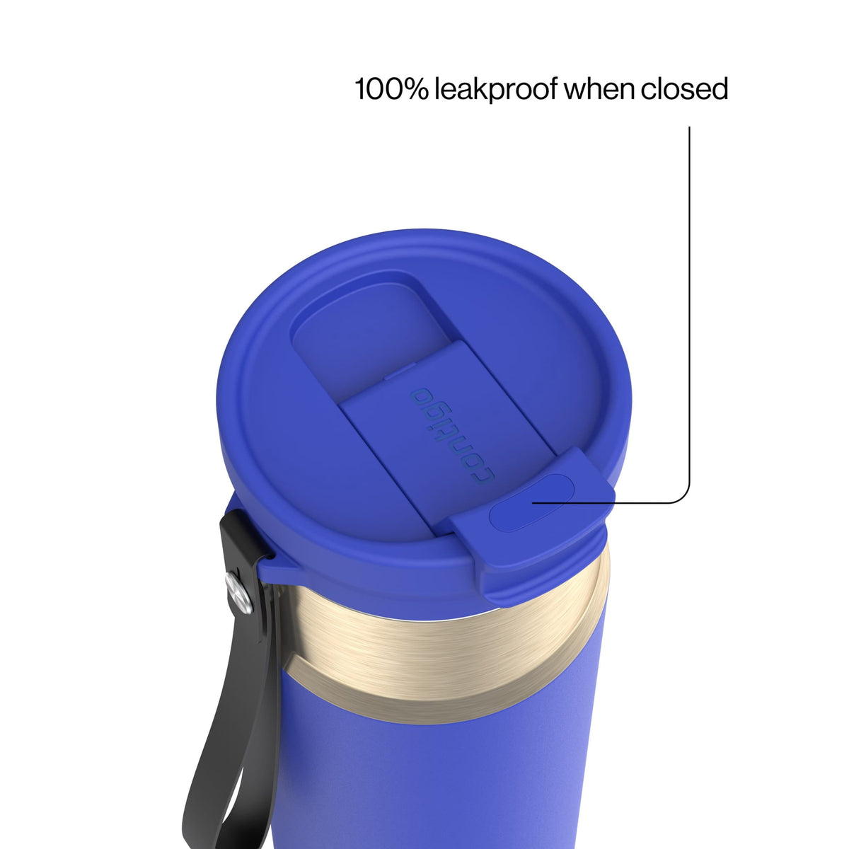 Contigo 24oz DualSip Insulated Stainless Steel Water Bottle with Built-In Straw and Drink Opening, Abyss Blue/Silver