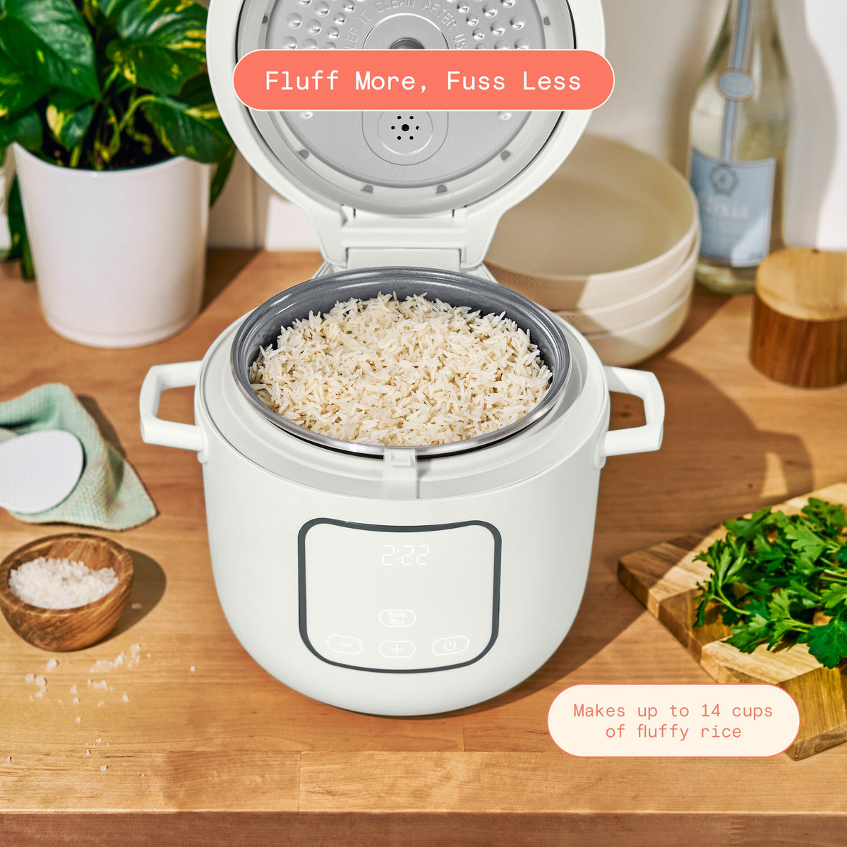 Beautiful 14-Cup Cooked, 6-Cups Uncooked Electric Rice and Grain Cooker, EverGood Ceramic Nonstick Coating, Thyme Green by Drew Barrymore