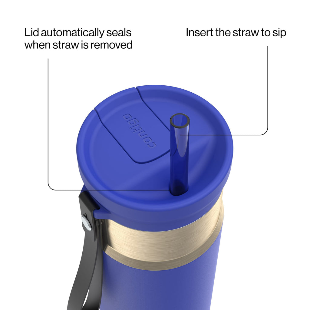 Contigo 24oz SnapSeal Insulated Stainless Steel Water Bottle with Straw, Licorice Black/Bronze