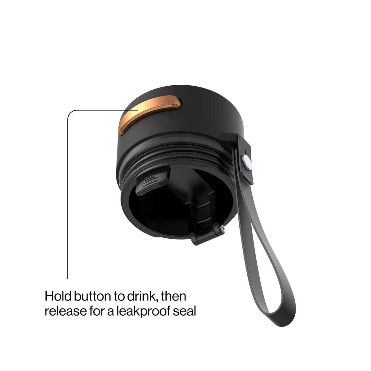 Contigo 16oz AutoSeal Insulated Stainless Steel Water Bottle, Licorice Black/Bronze