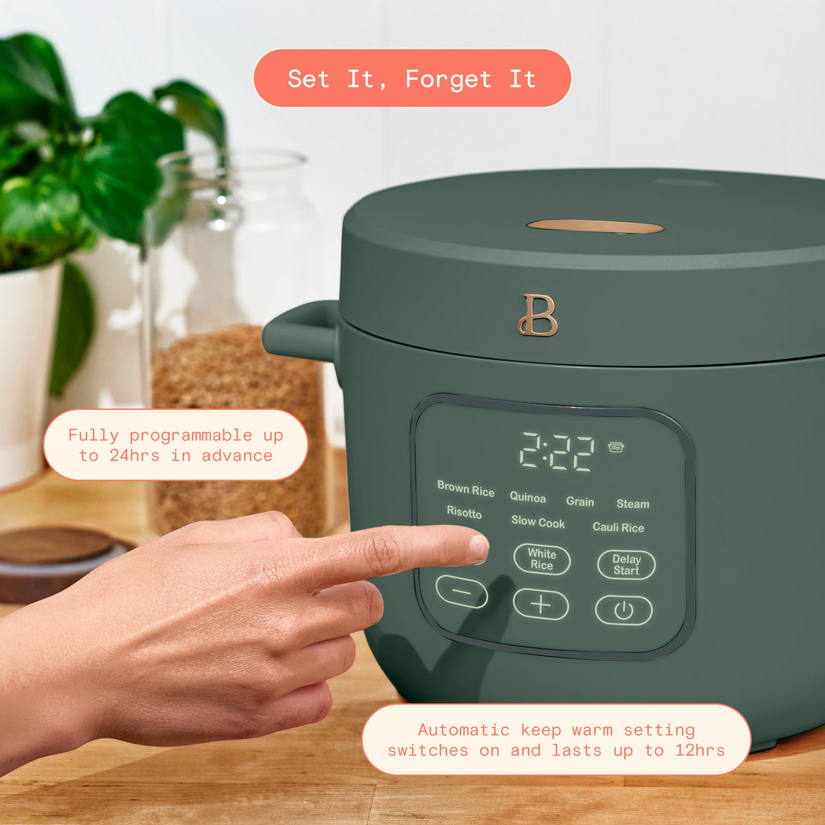 Beautiful 14-Cup Cooked, 6-Cups Uncooked Electric Rice and Grain Cooker, EverGood Ceramic Nonstick Coating, Thyme Green by Drew Barrymore