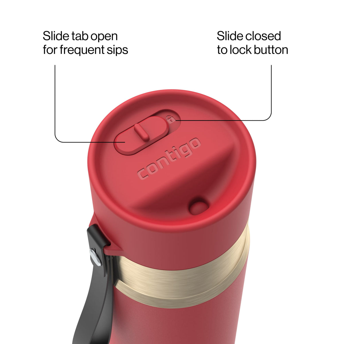 Contigo 16oz AutoSeal Insulated Stainless Steel Water Bottle, Licorice Black/Bronze