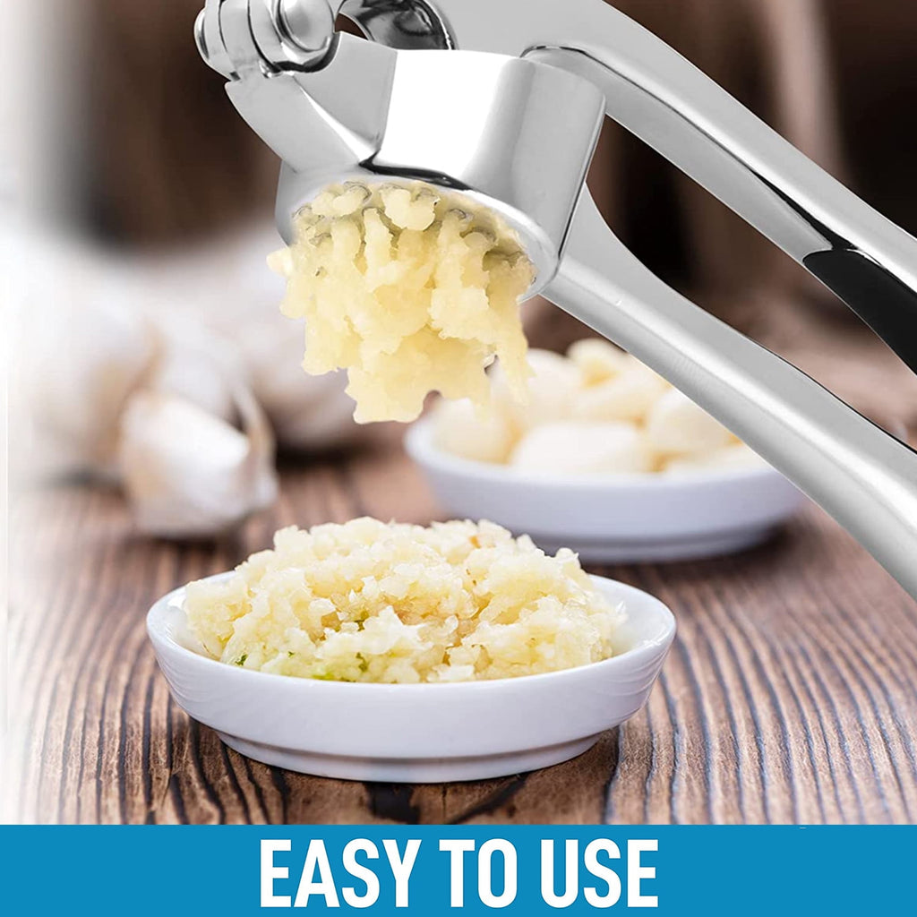 BCOOSS Garlic Press and Mincer Stainless Steel Easy Squeeze Pressed Garlic Crusher with Handle