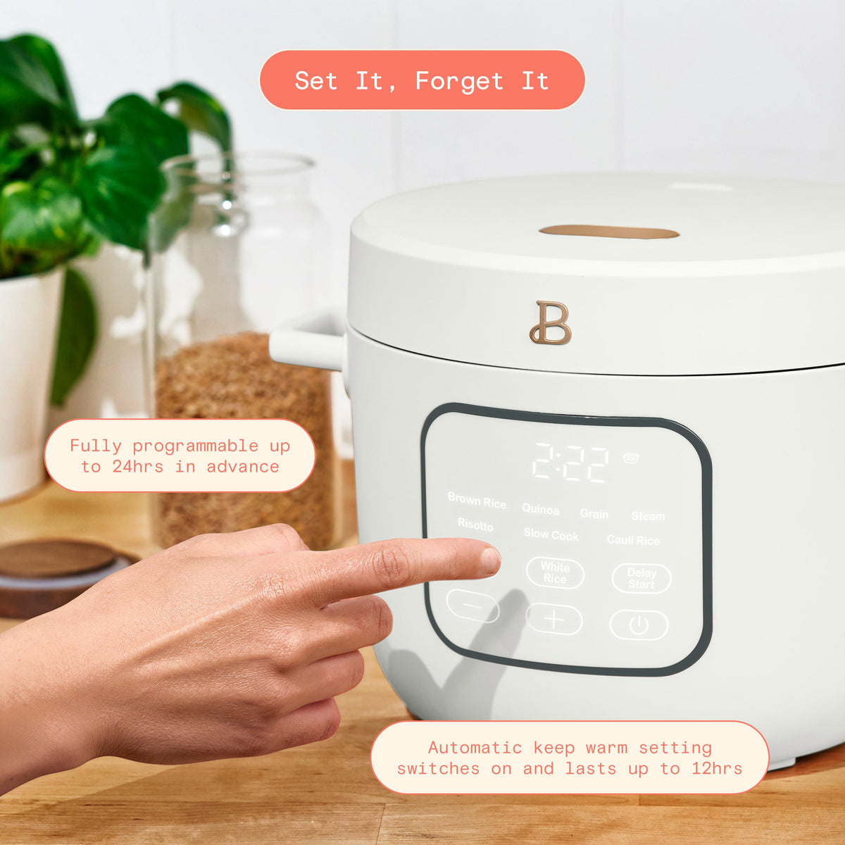 Beautiful 14-Cup Cooked, 6-Cups Uncooked Electric Rice and Grain Cooker, EverGood Ceramic Nonstick Coating, Thyme Green by Drew Barrymore