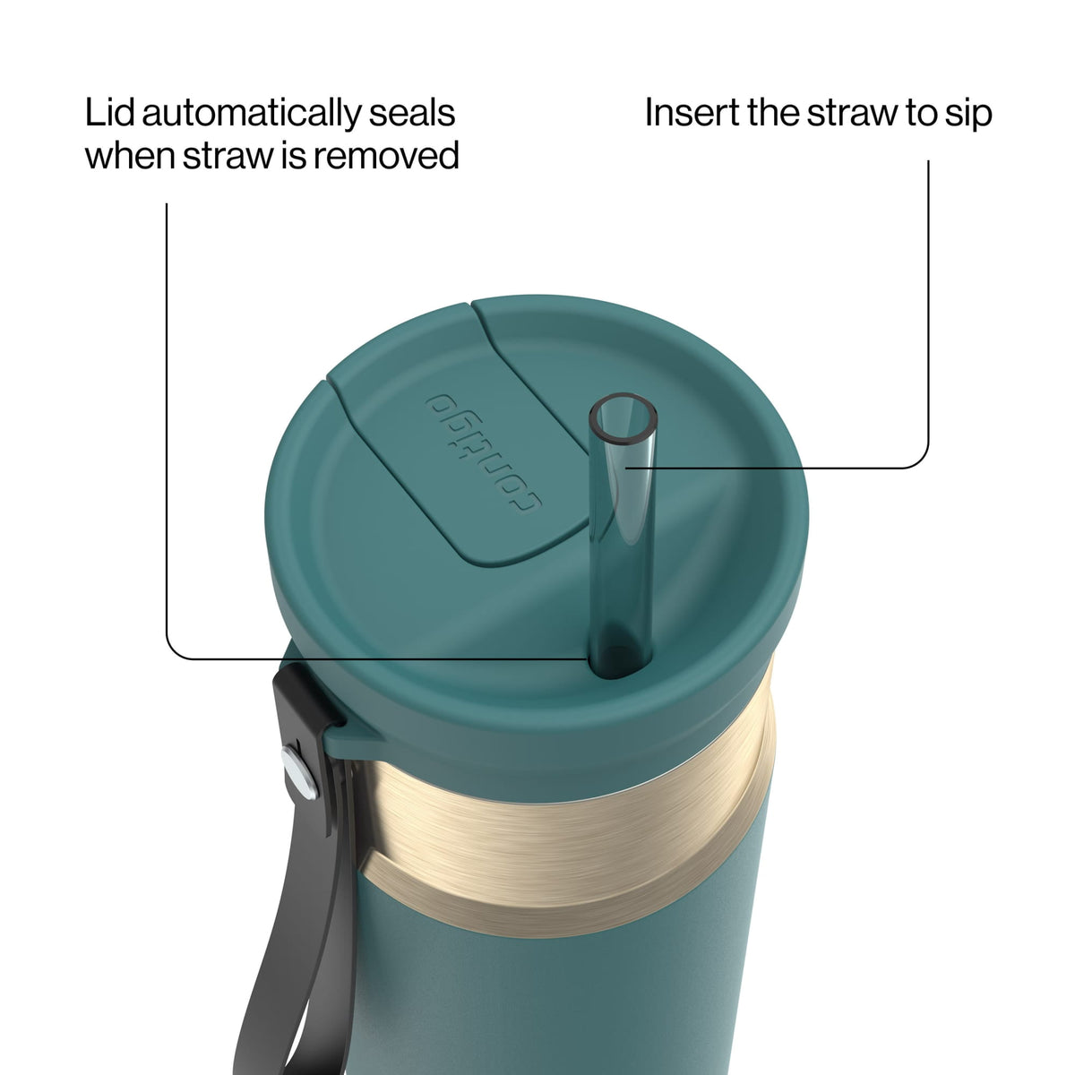 Contigo 24oz SnapSeal Insulated Stainless Steel Water Bottle with Straw, Licorice Black/Bronze