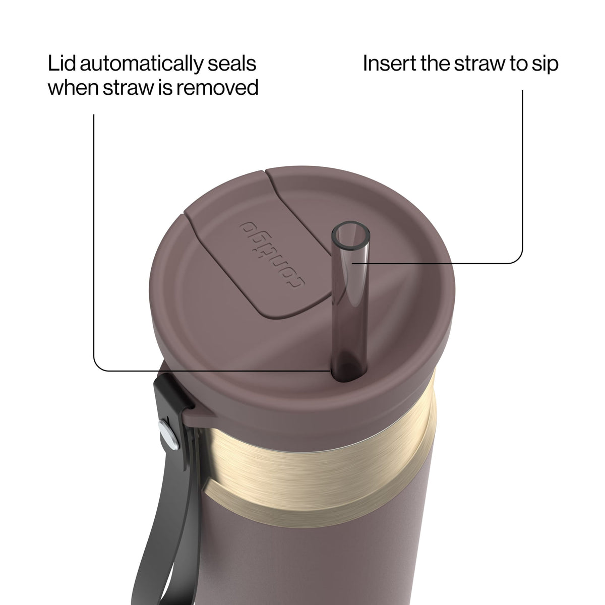 Contigo 24oz SnapSeal Insulated Stainless Steel Water Bottle with Straw, Licorice Black/Bronze
