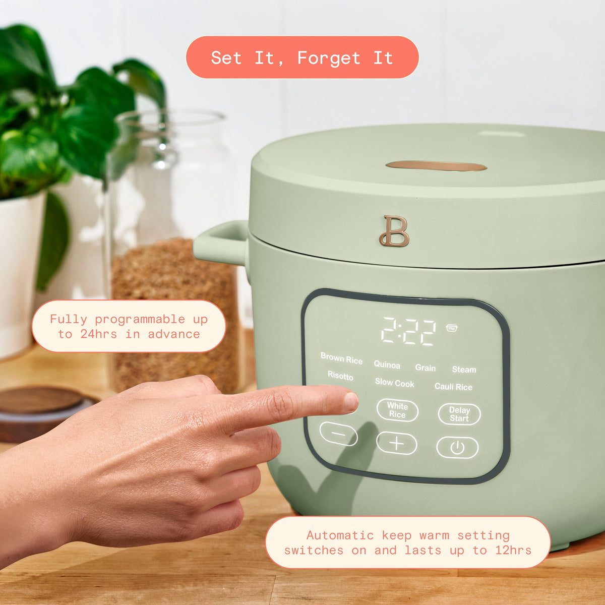 Beautiful 14-Cup Cooked, 6-Cups Uncooked Electric Rice and Grain Cooker, EverGood Ceramic Nonstick Coating, Thyme Green by Drew Barrymore
