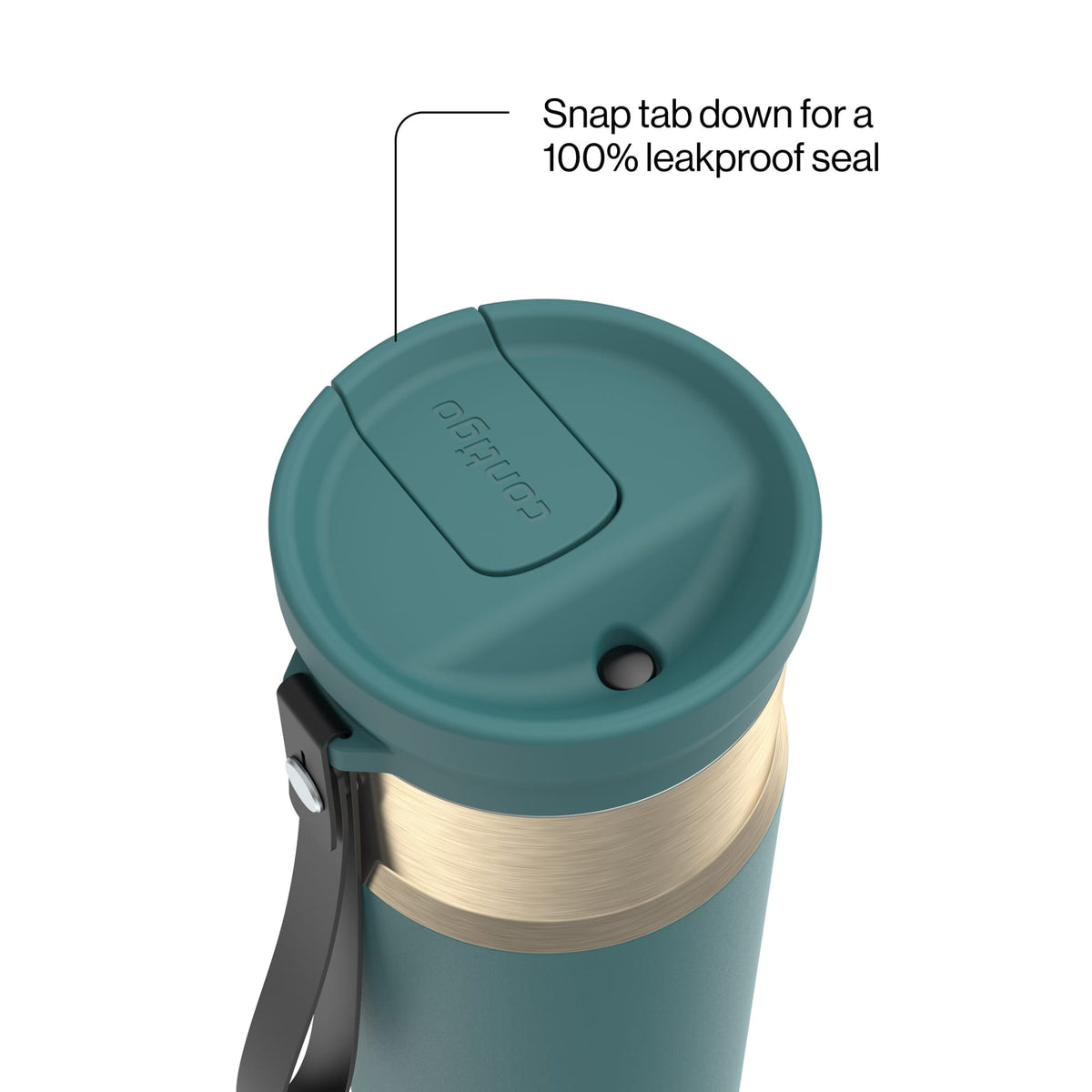 Contigo 24oz SnapSeal Insulated Stainless Steel Water Bottle with Straw, Licorice Black/Bronze